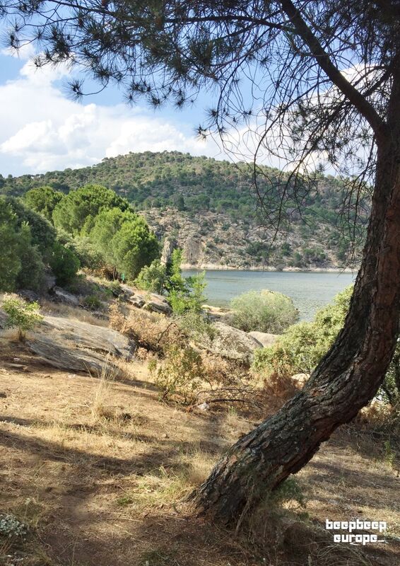 On rugged, rocky, uneven and earthy terrain. A tall pine tree is surrounded by bushes, trees, a lake and green rocky hills.