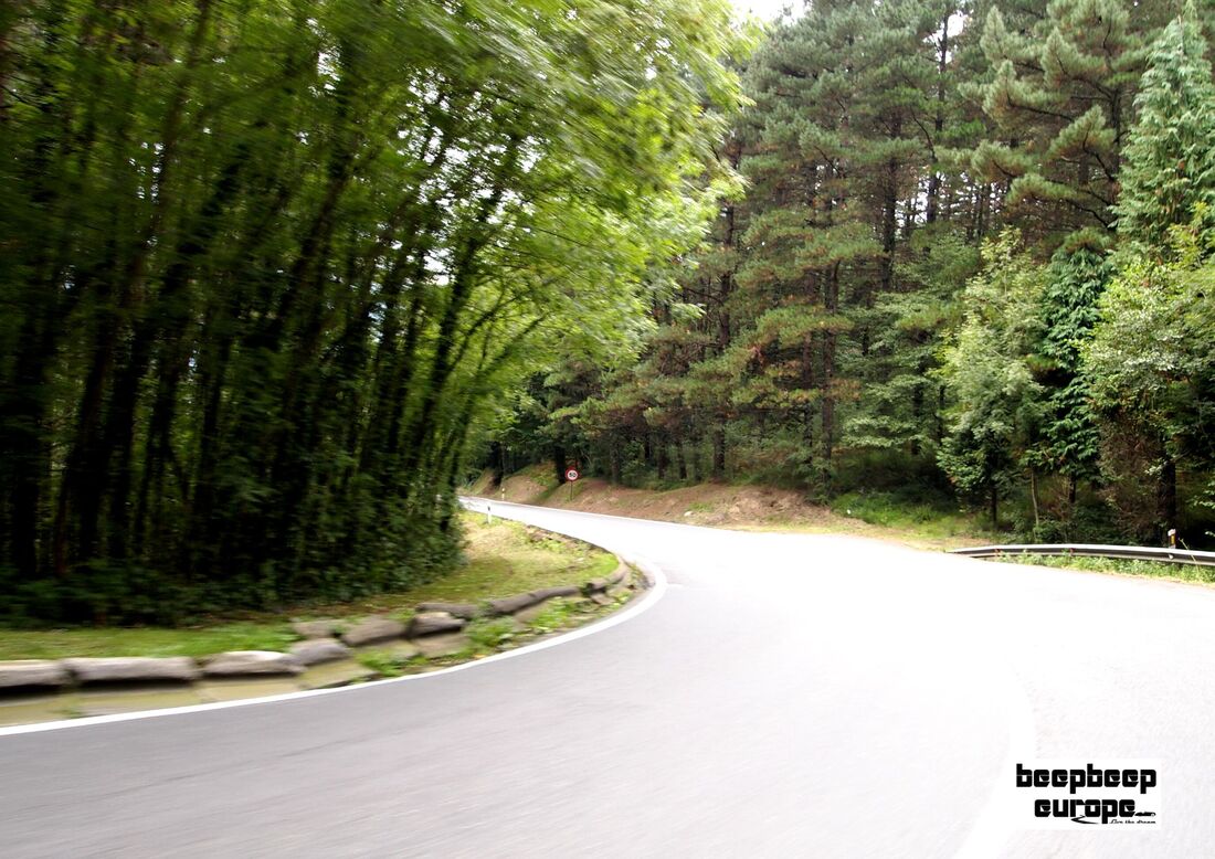 On the bend of a road in the countryside with very green, tall trees on both sides of the road.