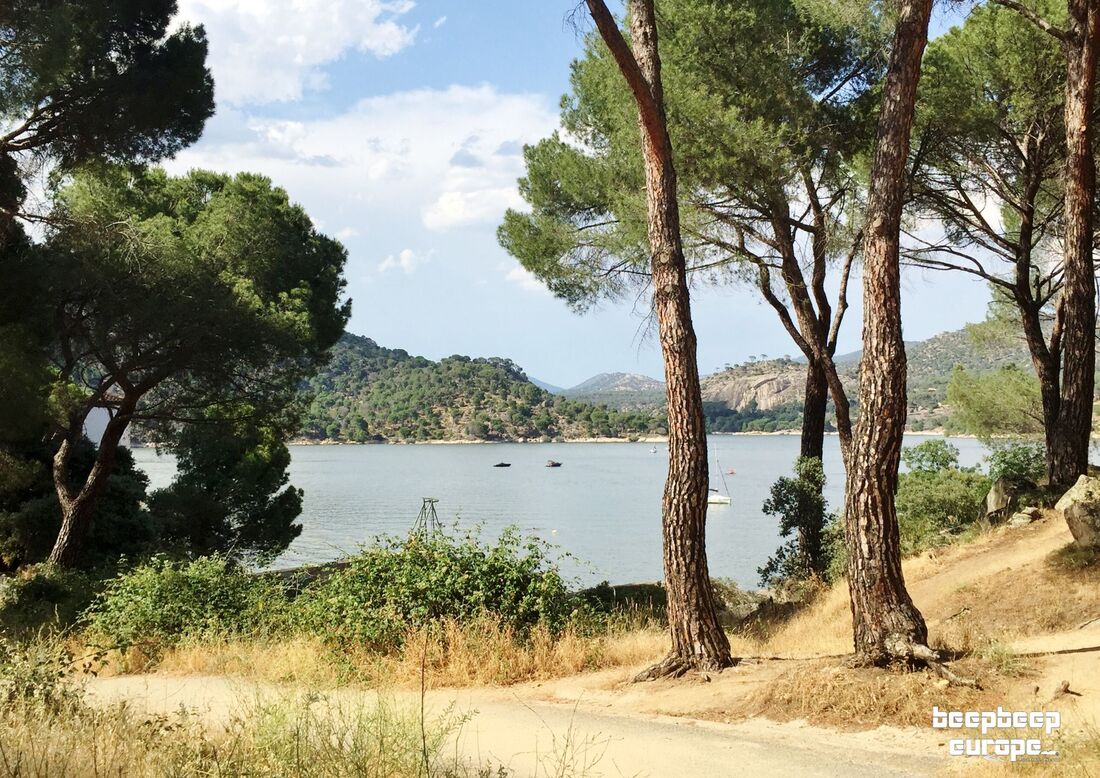 A beautiful lake is in full view through a gap in between tall pine trees with a road leading downhill in the foreground.
